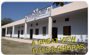Round Table India Bhilwara Govt School
